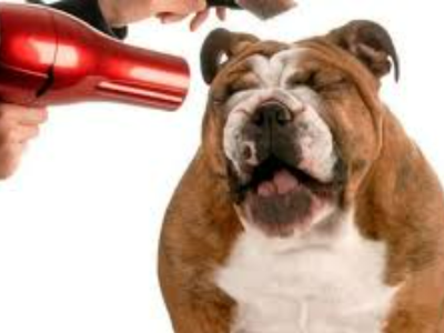 Second Step, the Blow Dry